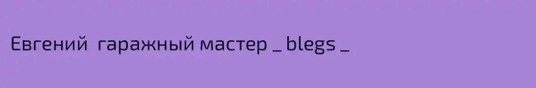 Евгений  гаражный мастер _ blegs _